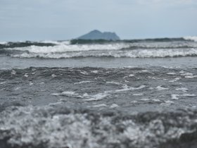 DSC_3026.JPG