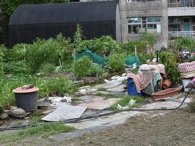 DSC_1196.JPG