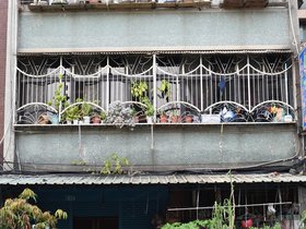 DSC_1197.JPG