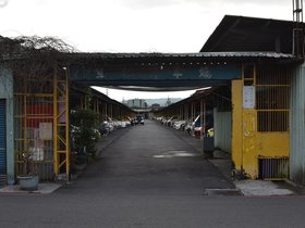 DSC_1199.JPG