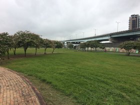 IMG_8553.JPG