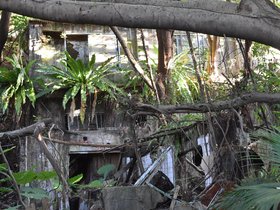 DSC_1517.JPG