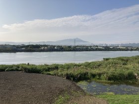 IMG_0850.JPG