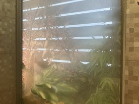 IMG_7598.JPG