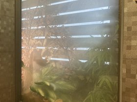 IMG_7599.JPG