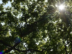 DSC_1085.JPG