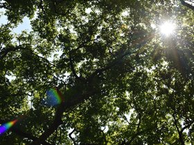 DSC_1086.JPG