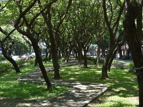 DSC_1091.JPG