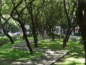 DSC_1092.JPG
