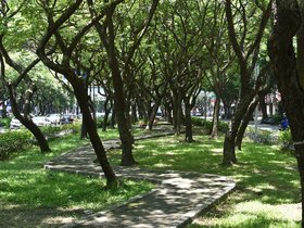 DSC_1093.JPG