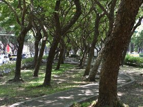 DSC_1094.JPG