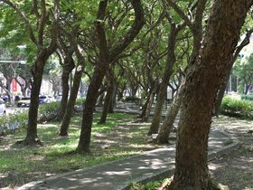 DSC_1095.JPG