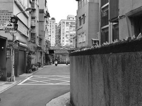 DSC_4113.JPG