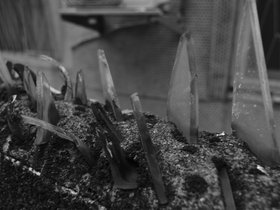 DSC_4121.JPG