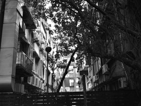 DSC_4140.JPG