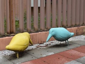 DSC_6215.JPG