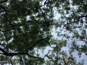 IMG_0473.JPG