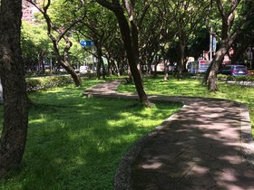 IMG_0833.JPG
