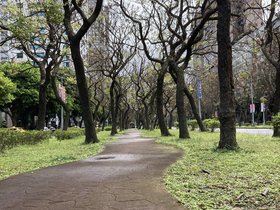 IMG_1241.JPG