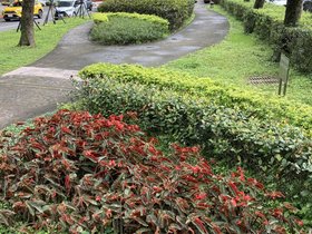 IMG_1242.JPG