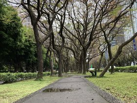 IMG_1243.JPG