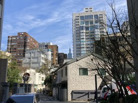 IMG_2481.JPG