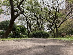 IMG_2659.JPG