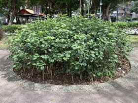 IMG_2663.JPG