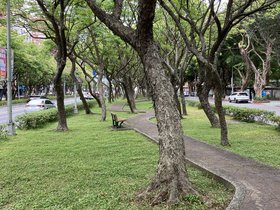 IMG_3196.JPG