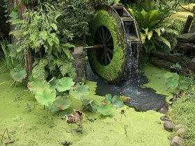 IMG_3833.JPG