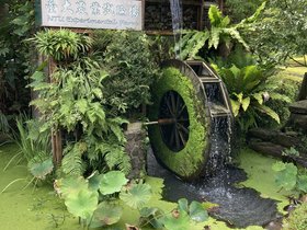 IMG_3834.JPG