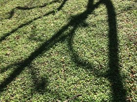 IMG_3901.JPG