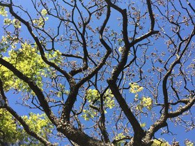 IMG_3912.JPG