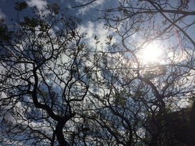 IMG_4653.JPG