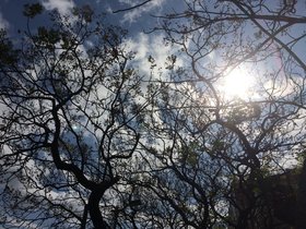 IMG_4654.JPG