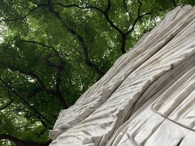 IMG_5693.JPG