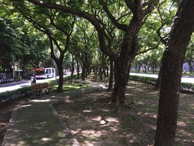 IMG_5717.JPG