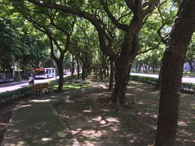 IMG_5718.JPG