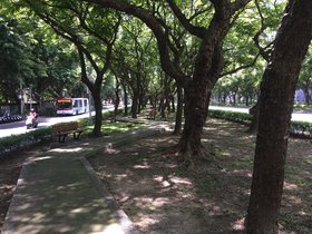 IMG_5719.JPG