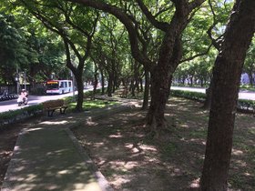 IMG_5720.JPG