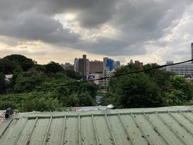 IMG_5988.JPG