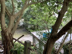 IMG_5989.JPG