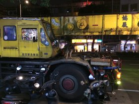 IMG_6205-dog-on-crane.JPG