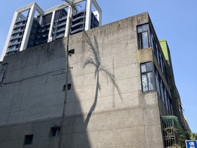 IMG_6513.JPG