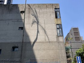 IMG_6515.JPG