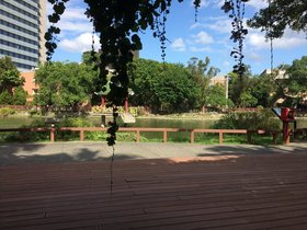 IMG_7351.JPG