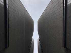 IMG_8299.jpg