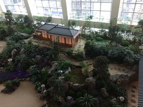 IMG_8470.JPG