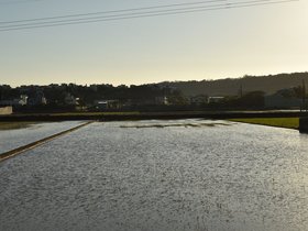 DSC_2141.JPG