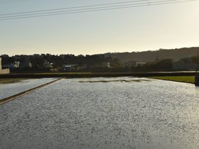 DSC_2142.JPG